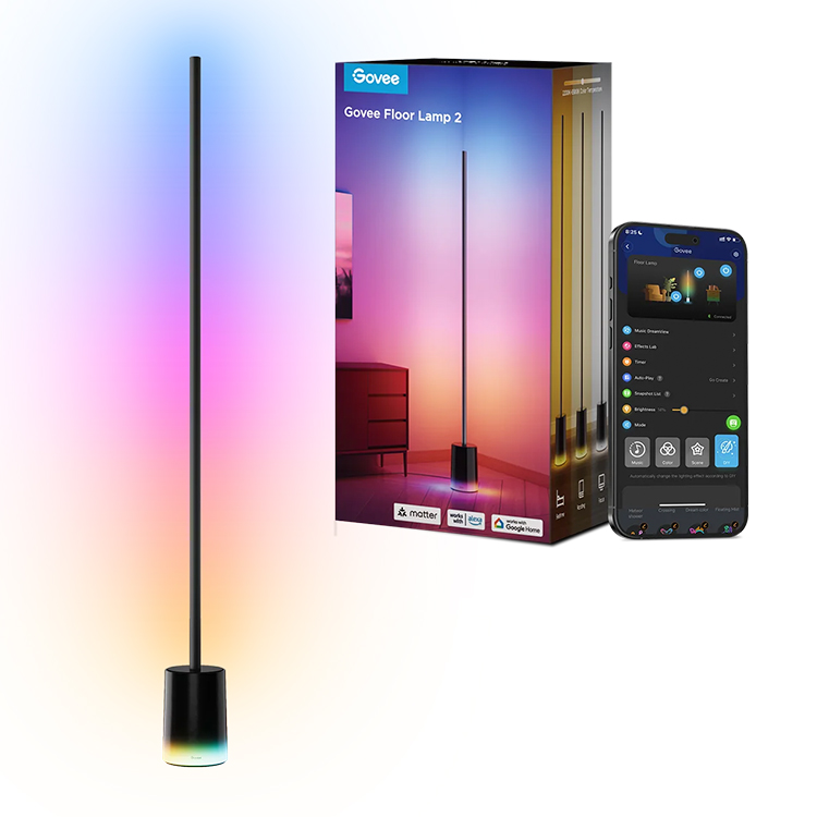 GoVee Floor Lamp 2 - Black